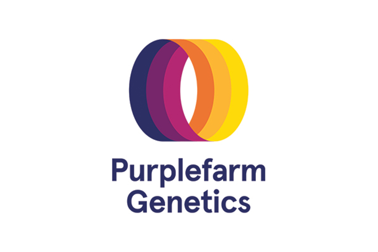 purplefarm-cannabis