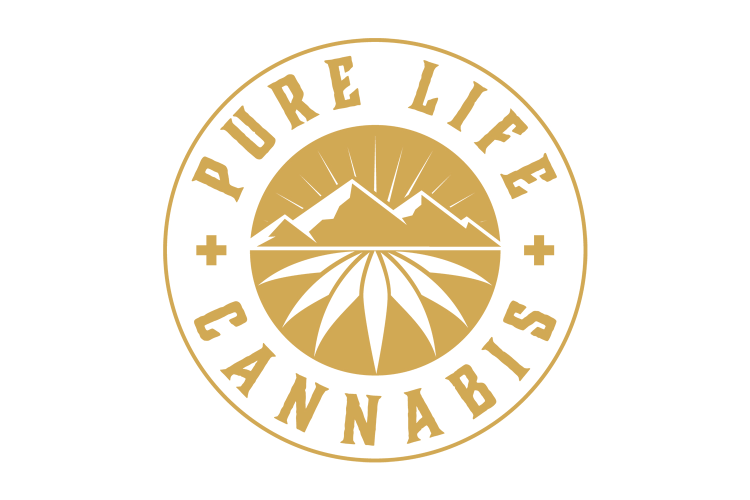 pure-life